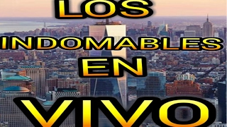 LOS INDOMABLES  EN VIVO [upl. by Aivin]