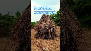 दोस्तों सब्सक्राइब जरूर करें खेत की मेहनत और शॉट्स की मेहनत के लिए [upl. by Jerroll]