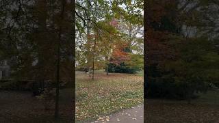 Frederiksberg Garden Morning View during Fall copenhagen fall [upl. by Atolrac458]