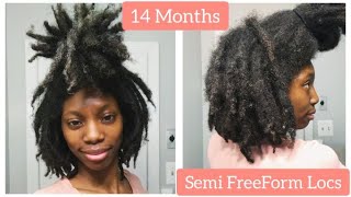 14 MONTH LOC JOURNEY UPDATE  Thick SemiFreeForm Locs [upl. by Nnaycart937]