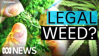 When will marijuana be legalised for adult use in Australia  The Business  ABC News [upl. by Dusty653]