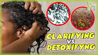 Clarifying or Detoxifying your hair What’s the difference [upl. by Jaunita]