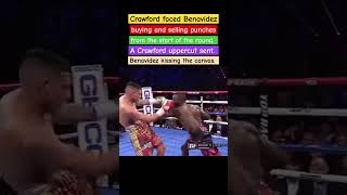 Crawford VS BenavidezA Crawford uppercut sent Benavidez kissing the canvasBA Sportee8wfboxing [upl. by Ylrad]