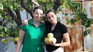 Heghineh Family Vlog 64  Հարևանները  Heghineh Cooking Show in Armenian [upl. by Nov85]