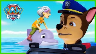 Rescue Knights Pups stop a magical sleepy spell and more episodes  PAW Patrol  Cartoons for Kids [upl. by Evered]