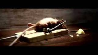 Mouse Trap Survivor Cheese Commercial [upl. by Rhianna]