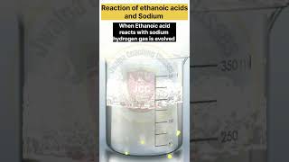 Reaction of Ethanoic acid with sodium shortsfeed practical scienceexperiment chemistry shorts [upl. by Lattimer632]