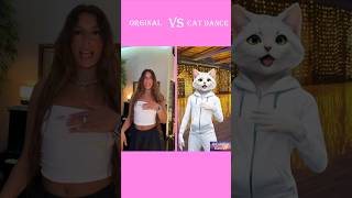 Rosa que linda eres Cat Dance Version shorts tiktok cats catdancing [upl. by Donegan]