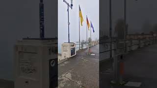 Friedrichshafen on Lake Constance autumn 2024 in fog youtube travelshorts travelvlog shorts [upl. by Elbring]