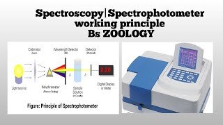 Spectrophotometer working [upl. by Ailel819]