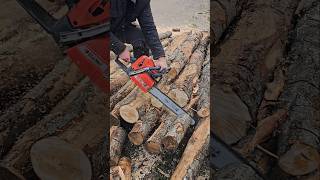 Бензопила Oleomac Цепь Oregon wood chainsaw tools [upl. by Nordna]