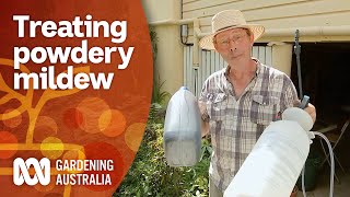 How to get rid of powdery mildew  Pest and Disease control  Gardening Australia [upl. by Holleran918]