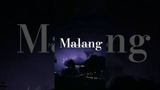 Malang song lyrics 🔥 status vedio  subscribe shorts amirkhan katrinakaif [upl. by Mathilde]