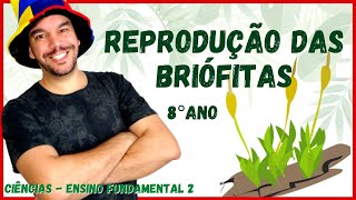 CICLO REPRODUTIVO DAS BRIÓFITAS  8° ano  Aula completa  CIÊNCIAS 2021  Ensino fundamental 2 [upl. by Tnattirb638]