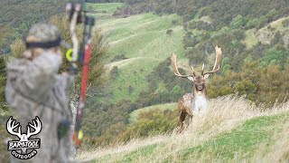 New Zealand Hunting for Fallow Deer [upl. by Ardrey]