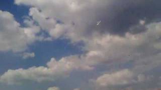 RC model plane Accipiter badius and Nokia N82 films fly [upl. by Loesceke]