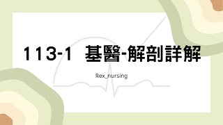 Rex Nursing l 護理日記 1281 1131 基醫 解剖詳解 1132月護理師國考 [upl. by Nnylak]