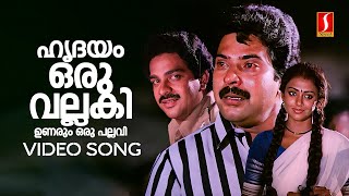 Hridayam Oru Vallaki Video Song  Padayani  Mammootty  Devan  KJ Yesudas  P Jayachandran [upl. by Mendes]