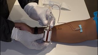 Blood Culture Collection Procedure  Phlebotomy 2024 [upl. by Rakel]