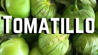 TOMATILLO 7 Tips on How to Grow Tomatillo Successfully [upl. by Dnalram969]