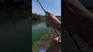 Dibuli lagenda budak setan hingga patah snap👹 fishing djioa5pro [upl. by Ulla]