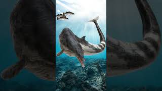 💎 EL BASILOSAURUS  El precursor de las BALLENAS 🌎 [upl. by Lesoj]