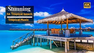 4k Tropical Beach  Beautiful Tropical Music  Chill amp House Music  Maldives Island amp Bora Bora [upl. by Landbert]