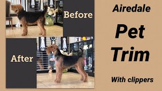 Airedale Terrier Pet Trim Clipper Work [upl. by Eladnyl]