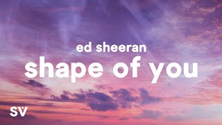 Ed Sheeran  Shape Of You Lyrics [upl. by Dinnage769]