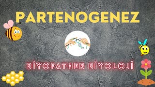 PARTENOGENEZ EŞEYSİZ ÜREME [upl. by Aroc]