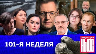 Редакция News 101я неделя [upl. by Rodablas]