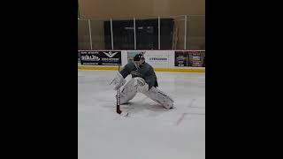 Goalie Drills Quick Pivots [upl. by Jepson]