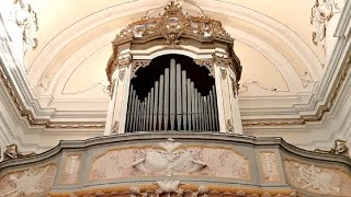 PARADISI  TOCCATA  ORGAN [upl. by Eintruoc]