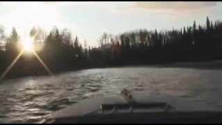 Fly Fishing for Sustut River Steelhead  Part 2 [upl. by Matilda]