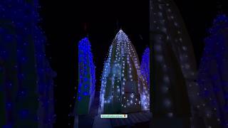 Lamp lighting  Diwali decor decoration lights diwali diwalispecial 🏮 [upl. by Ihtac]