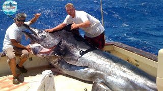 Catching Giant Swordfish in The Sea  Amazing Fishing Skills Of Fisherman [upl. by Hutton984]