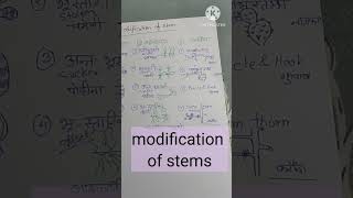 modification of roots and stems quick recap 11th education ncert [upl. by Hamford]