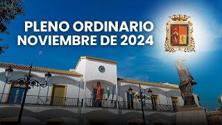 Pleno Ordinario  Noviembre 2024  Mairena del Alcor [upl. by Slaby]