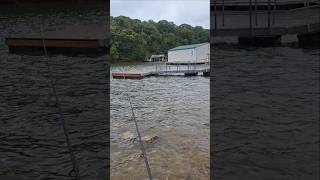 Fishing Lake Lanier After a Hurricane [upl. by Aicak]