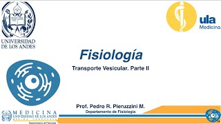 Transporte Vesicular Parte II [upl. by Ylhsa]