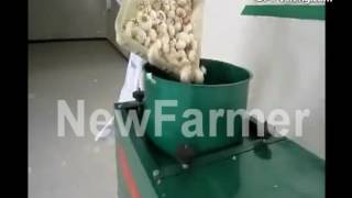 garlic separatorgarlic separating machine [upl. by Maxie]