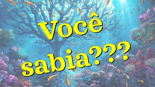 Animais vertebrados e invertebrados [upl. by Snebur509]