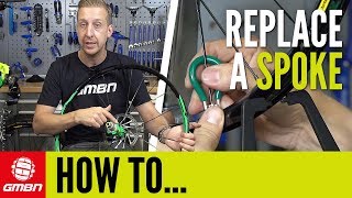 How To Replace A Broken Spoke  Mountain Bike Maintenance [upl. by Felty]