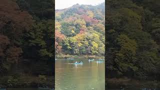 kyoto togetsukyo bridge [upl. by Darryn710]