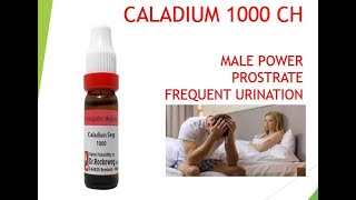 POWERFUL Caladium 1000  A Homeopathic Medicine for Men power  How to Use [upl. by Eric]