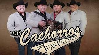 Los Cachorros de Juan Villarreal  Corridos de Oro EPICENTER ⚠️LOUD BASS🔊 [upl. by Wildee]