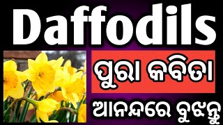 Daffodils🔥 ପୁରା କବିତା 🔥ବୁଝନ୍ତୁ  daffodils by william Wordsworth  daffodils poem in odia [upl. by Trula]