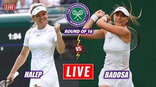 Halep vs Badosa Live Streaming  WImbledon 2022  Paula Badosa vs Simona Halep Live Tennis Score [upl. by Pascasia]