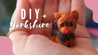 DIY • Yorkshire fofinho de Biscuit [upl. by Nauq]