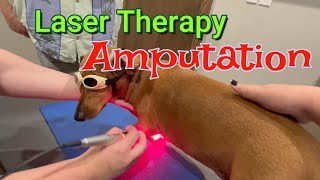 Leg Amputation vs Laser Therapy Help us Decide [upl. by Kariv]